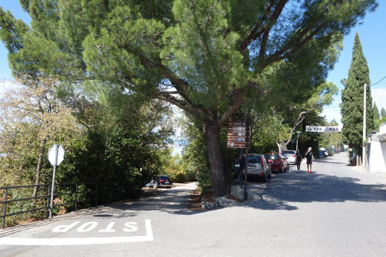 Apartments Obradovic ドラマリ エクステリア 写真